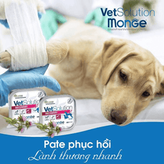 Pate Cho Chó Monge Dog Vet Solution Chăm Sóc Sức Khỏe 150g - Paddy Pet Shop