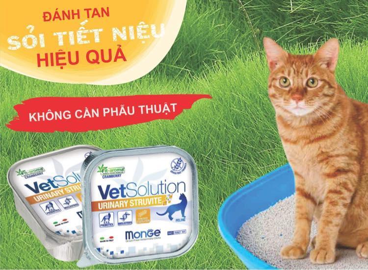 Pate Mèo Monge Cat Vet Solution Chăm Sóc Sức Khỏe 100g - Paddy Pet Shop