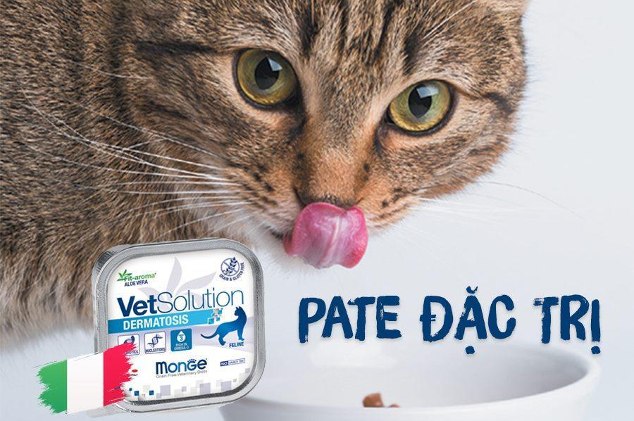 Pate Mèo Monge Cat Vet Solution Chăm Sóc Sức Khỏe 100g - Paddy Pet Shop