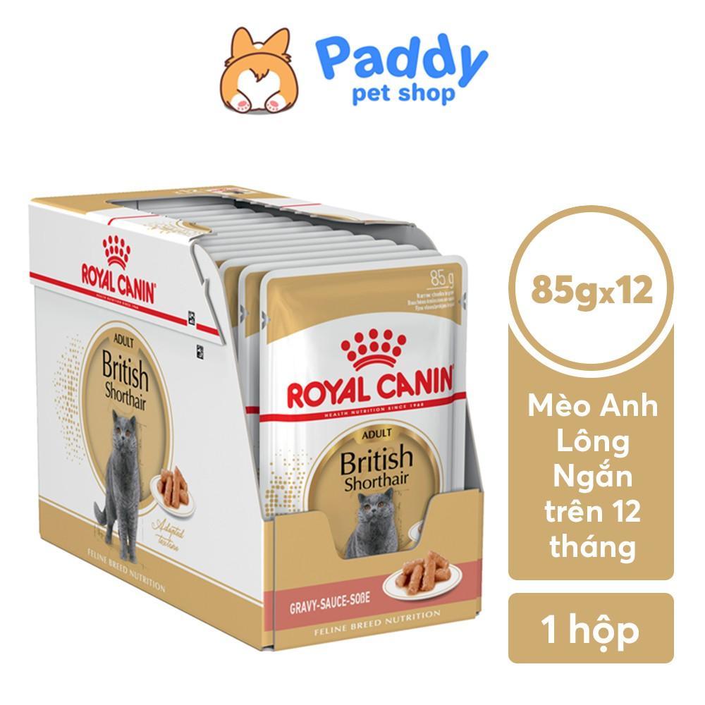 Pate Mèo Anh Lông Ngắn Trưởng Thành Royal Canin British Shorthair - Paddy Pet Shop