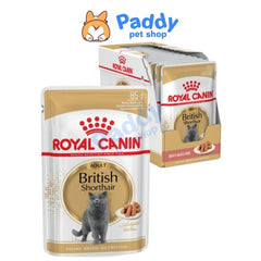 Pate Mèo Anh Lông Ngắn Trưởng Thành Royal Canin British Shorthair - Paddy Pet Shop
