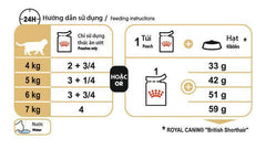 Pate Mèo Anh Lông Ngắn Trưởng Thành Royal Canin British Shorthair - Paddy Pet Shop