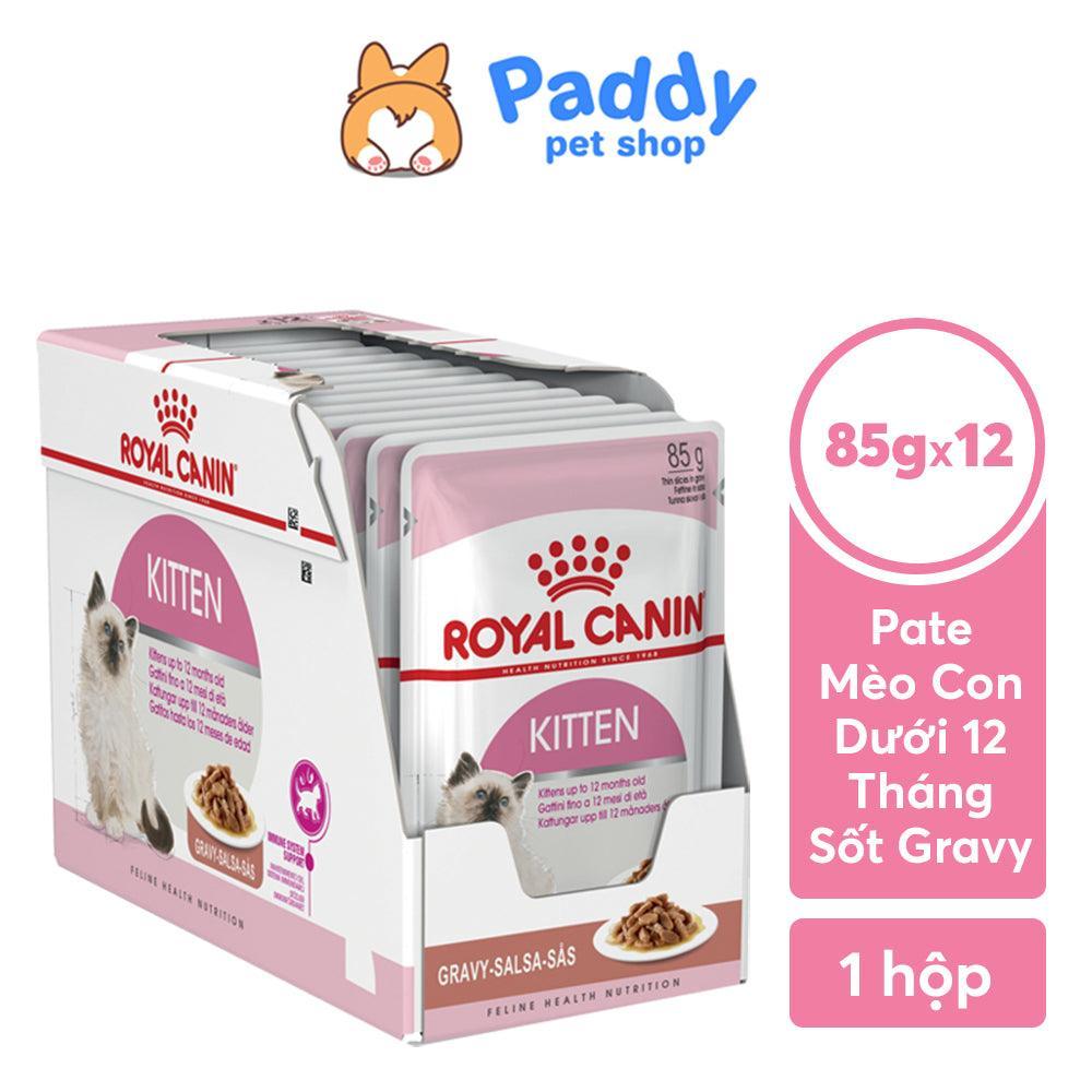 pate-meo-con-royal-canin-kitten