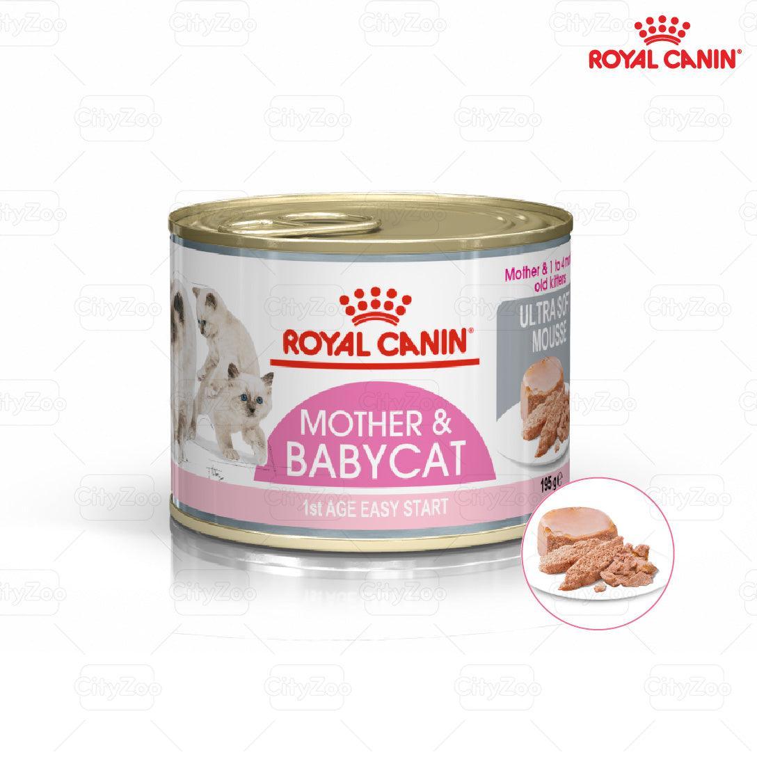 Pate Mèo Mẹ & Mèo Con Royal Canin Mother & Babycat (Lon 195g) - Paddy Pet Shop