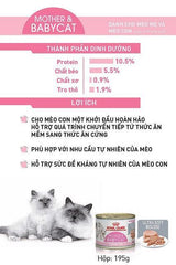 Pate Mèo Mẹ & Mèo Con Royal Canin Mother & Babycat (Lon 195g) - Paddy Pet Shop