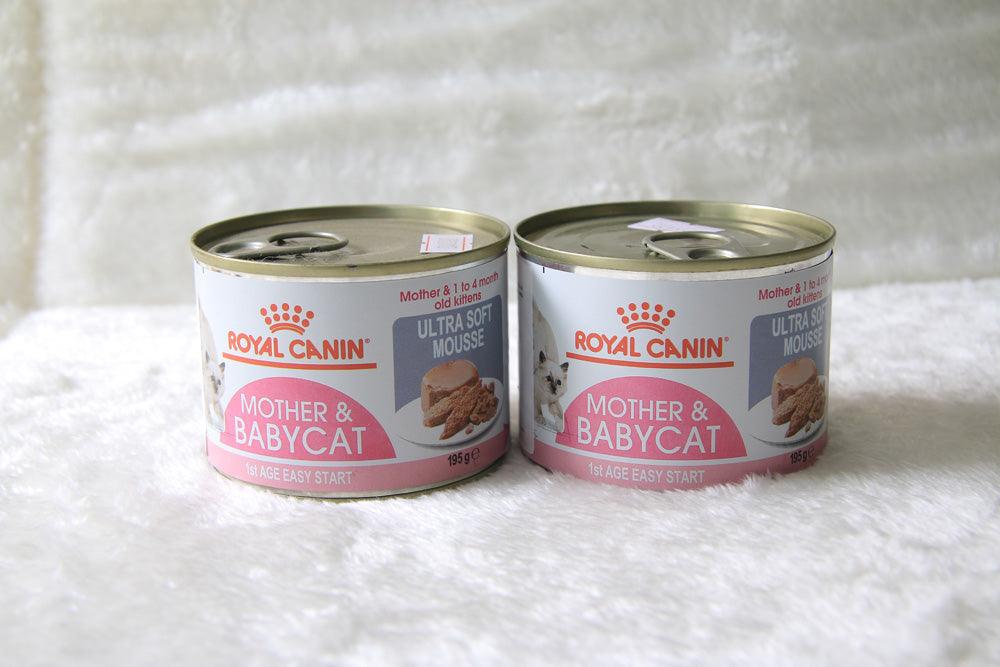 Pate Mèo Mẹ & Mèo Con Royal Canin Mother & Babycat (Lon 195g) - Paddy Pet Shop