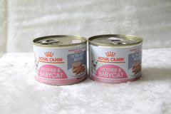 Pate Mèo Mẹ & Mèo Con Royal Canin Mother & Babycat (Lon 195g) - Paddy Pet Shop