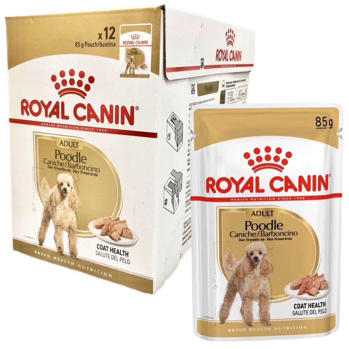 thuc-an-cho-cho-poodle-nho-pate-poodle-royal-canin-poodle-adult