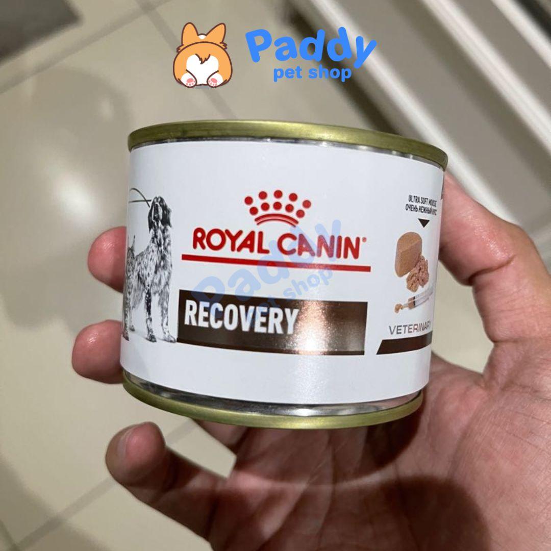 Pate Cho Chó Mèo Phục Hồi Sức Khỏe Royal Canin Recovery Lon 195g - Paddy Pet Shop