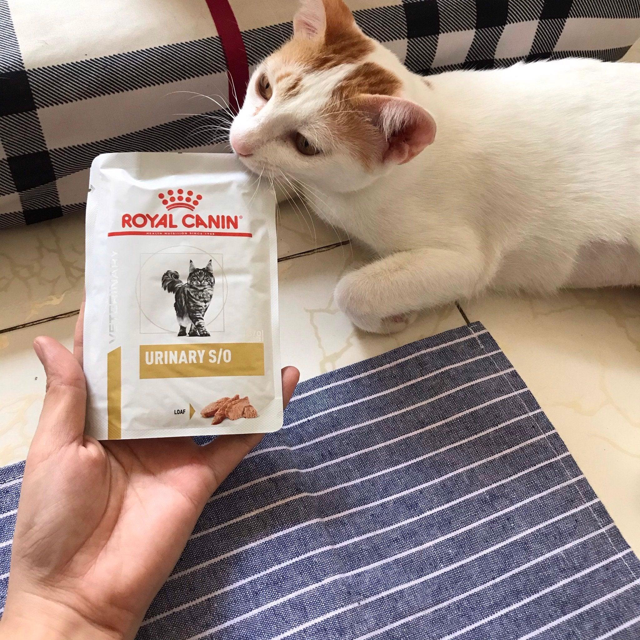 Pate Mèo Sỏi Thận Royal Canin Urinary S/O Loaf - Paddy Pet Shop