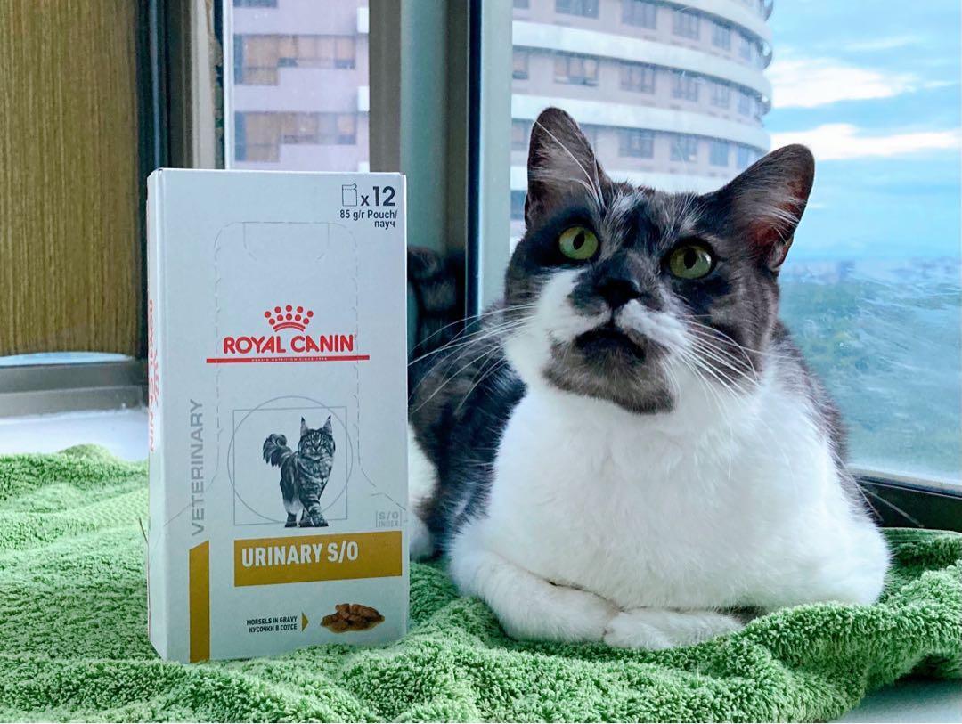 Pate Mèo Sỏi Thận Royal Canin Urinary S/O Loaf - Paddy Pet Shop