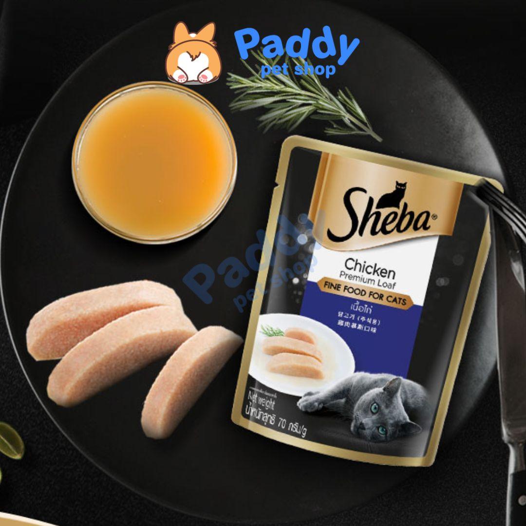 Pate Sheba Cho Mèo Con & Mèo Lớn 70g
