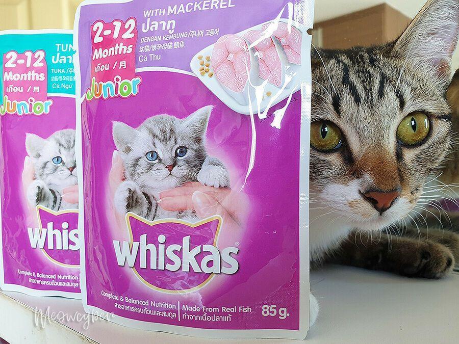 Pate Whiskas Junior Cho Mèo Con 80g - Paddy Pet Shop