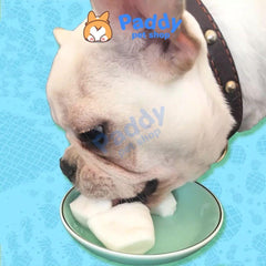 Pudding Sữa Dê Bổ Sung Canxi Và Lợi Khuẩn Pet Snacks - Paddy Pet Shop