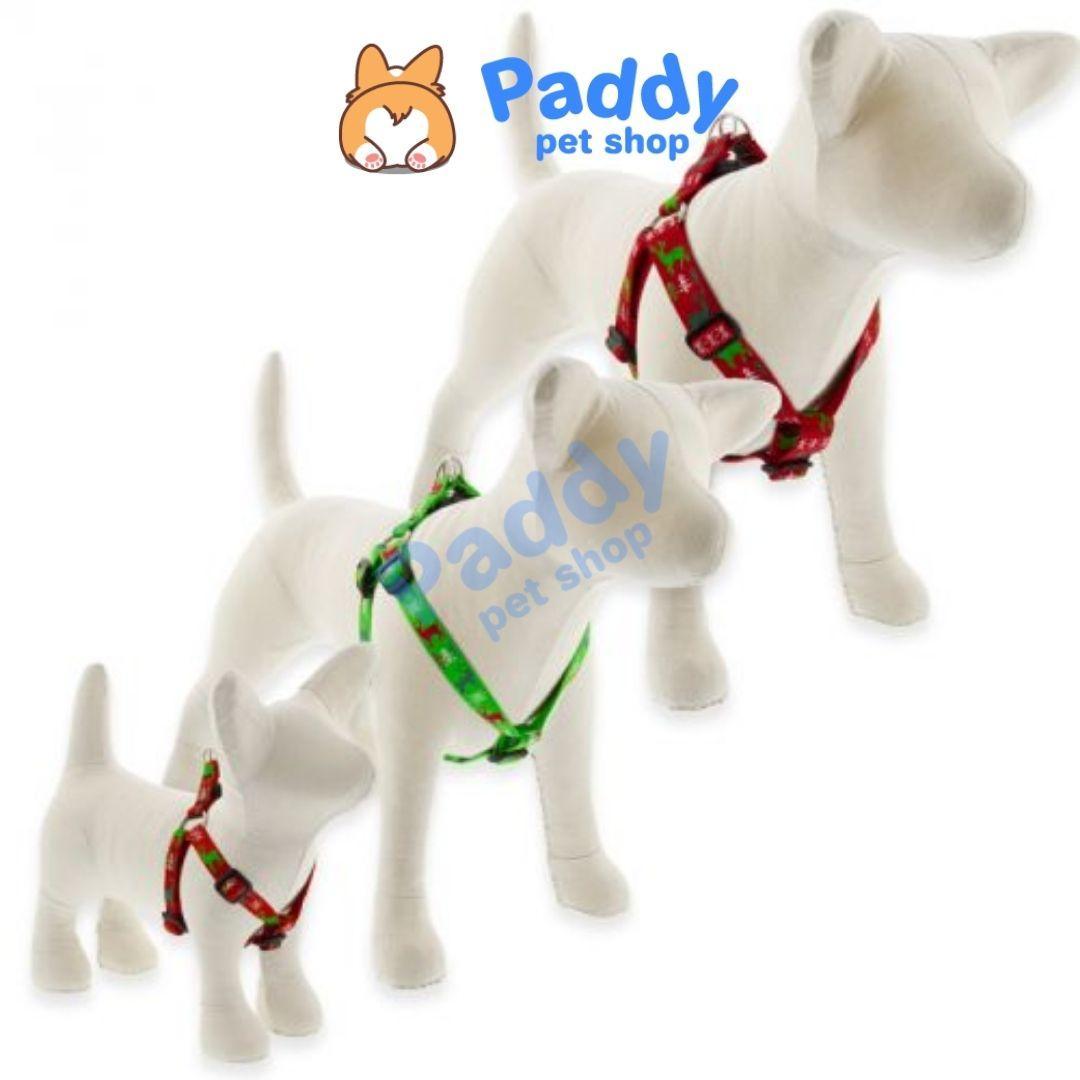 Set Dây Dắt Kèm Vòng Yếm Vải In Họa Tiết Cho Chó Mèo - Paddy Pet Shop