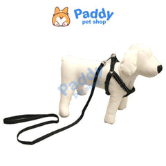 Set Dây Dắt Kèm Vòng Yếm Vải In Họa Tiết Cho Chó Mèo - Paddy Pet Shop