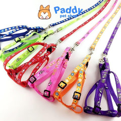 Set Dây Dắt Kèm Vòng Yếm Vải In Họa Tiết Cho Chó Mèo - Paddy Pet Shop