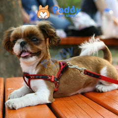 Set Dây Dắt Kèm Vòng Yếm Vải In Họa Tiết Cho Chó Mèo - Paddy Pet Shop