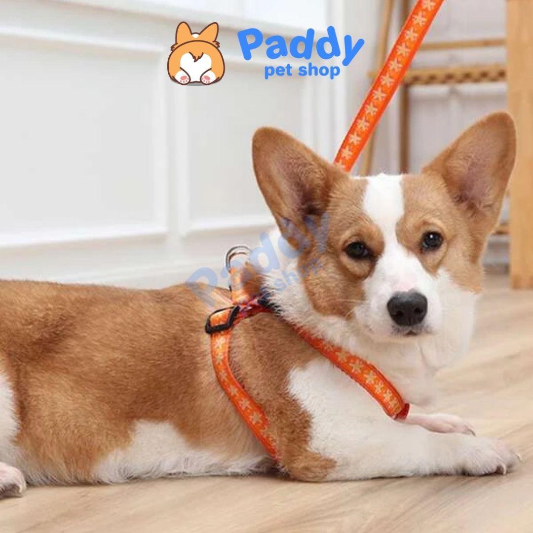 Set Dây Dắt Kèm Vòng Yếm Vải In Họa Tiết Cho Chó Mèo - Paddy Pet Shop