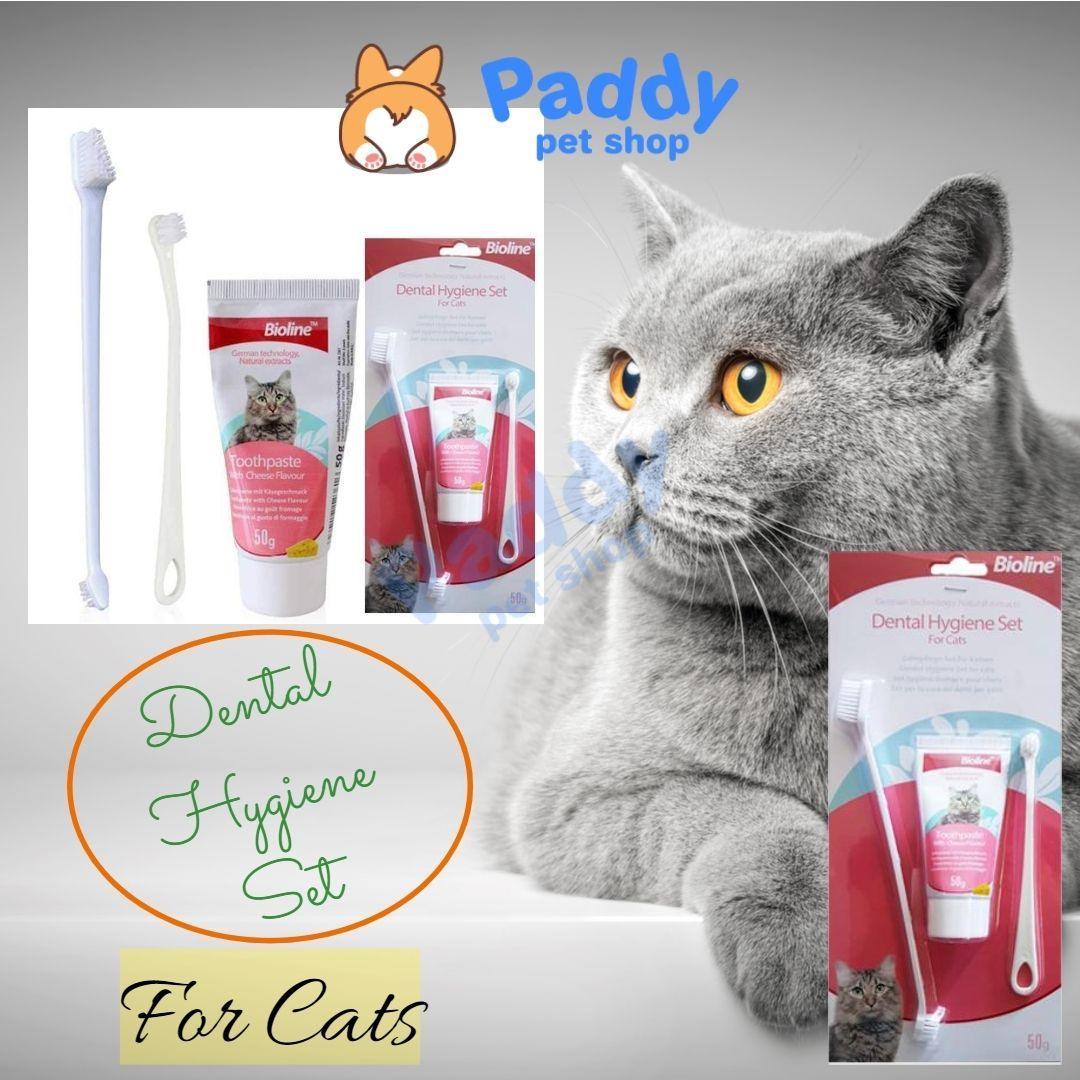Set Kem Đánh Răng Mèo Kèm Bàn Chải Bioline - Paddy Pet Shop