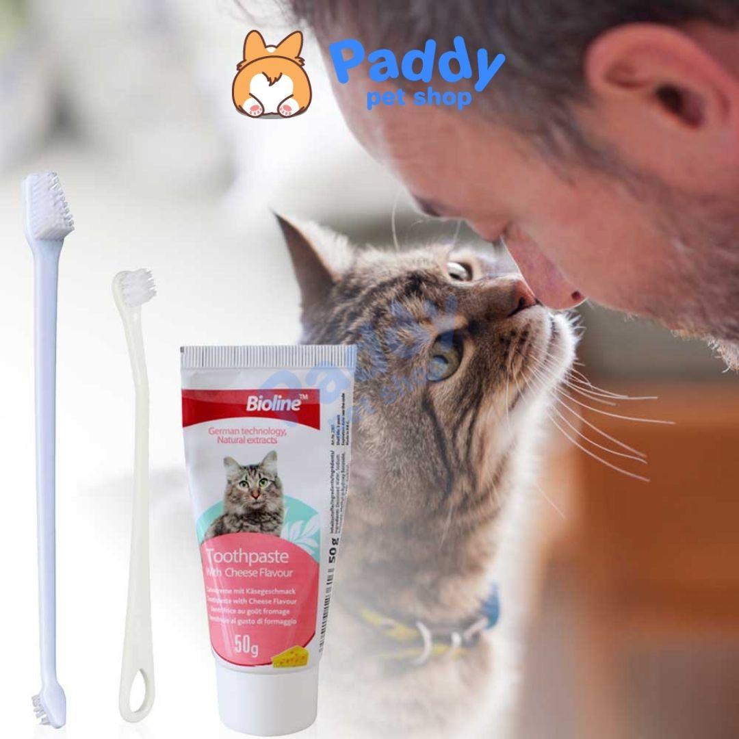 Set Kem Đánh Răng Mèo Kèm Bàn Chải Bioline - Paddy Pet Shop