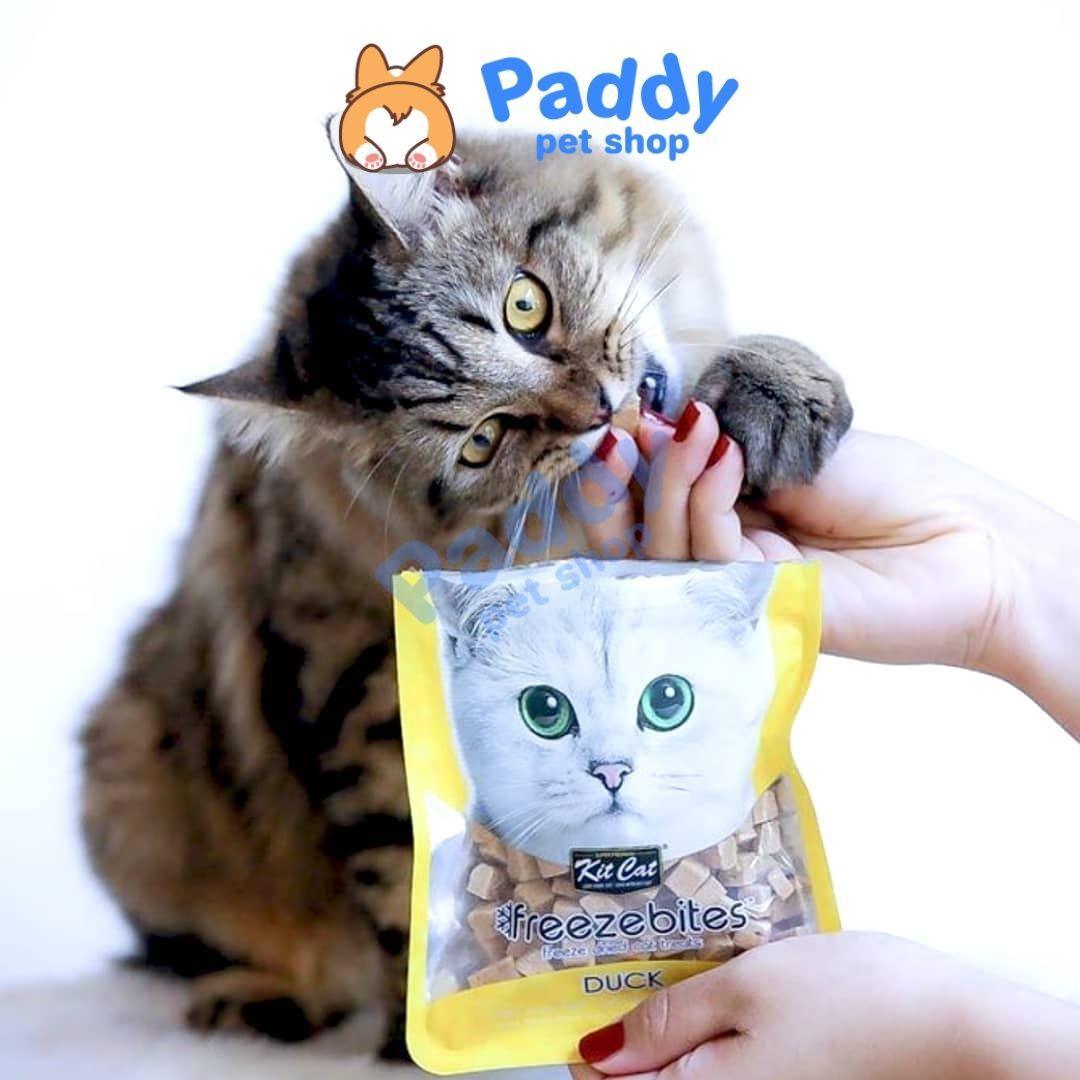 Bánh Thưởng Cho Mèo Vị Cá & Gà Tươi Sấy Khô Kit Cat Freeze Bites 15g - Paddy Pet Shop