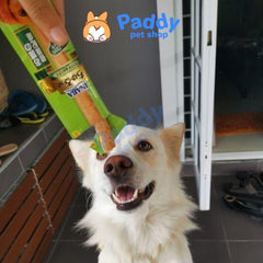 Snack Gà Mềm Chứa Sốt Cho Chó Inaba Churu Bee & Churutto (Thái Lan) - Paddy Pet Shop