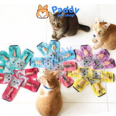 Snack Kit Cat Phi Lê Ngừa Búi Lông Cho Mèo 30g - Paddy Pet Shop