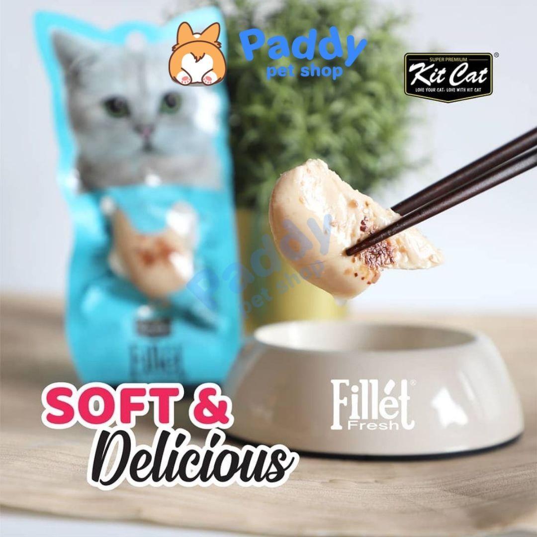 Snack Kit Cat Phi Lê Ngừa Búi Lông Cho Mèo 30g - Paddy Pet Shop