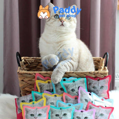 Snack Kit Cat Phi Lê Ngừa Búi Lông Cho Mèo 30g - Paddy Pet Shop