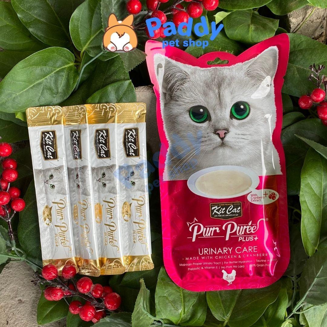 Súp Thưởng Kit Cat Purr Puree Chăm Sóc Sức Khỏe Cho Mèo 60g (Túi 4 tuýp) - Paddy Pet Shop