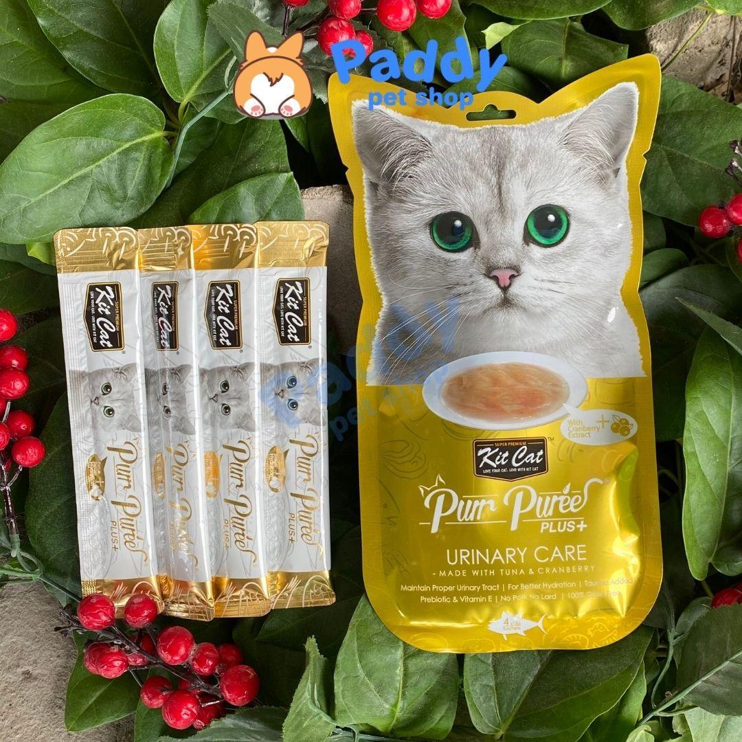 Súp Thưởng Kit Cat Purr Puree Chăm Sóc Sức Khỏe Cho Mèo 60g (Túi 4 tuýp) - Paddy Pet Shop