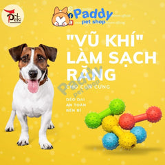 Đồ Chơi Cho Chó Tạ Cao Su Chuông TPet Nhai Gặm Sạch Răng - Paddy Pet Shop