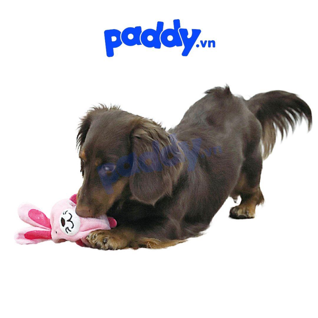 Đồ Chơi Cho Chó Pupi Doggyman Có Còi Vui Nhộn - Paddy Pet Shop
