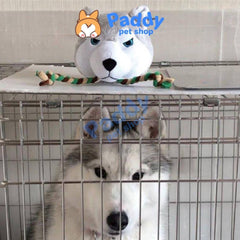 Đồ Chơi Cho Chó Thú Bông Gặm Thừng DoggyMan Size Siêu To - Paddy Pet Shop