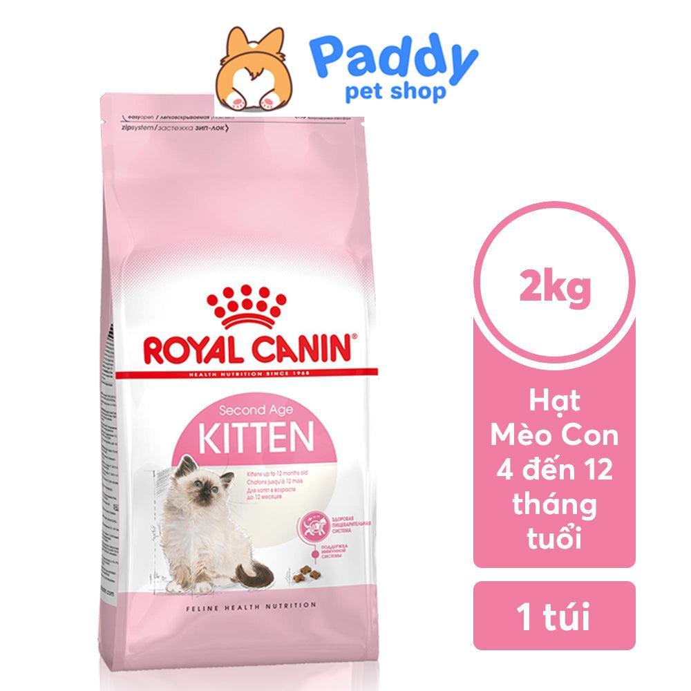 Thức Ăn Hạt Cho Mèo Con Royal Canin Kitten 36 - Paddy Pet Shop