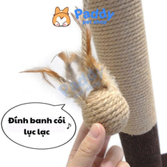 Trụ Cào Móng Mèo CattyMan Đế Vuông - Paddy Pet Shop