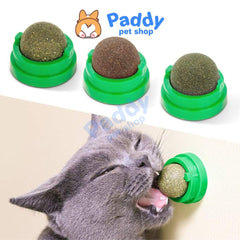 Viên Cỏ Mèo Xoay Gắn Tường Rotating Catnip - Paddy Pet Shop