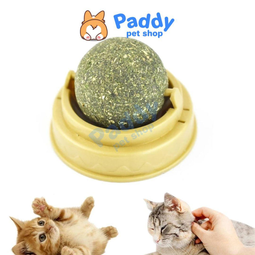 Bánh Thưởng Mèo Viên Cỏ Mèo Xoay Gắn Tường Rotating Catnip – Paddy Pet Shop
