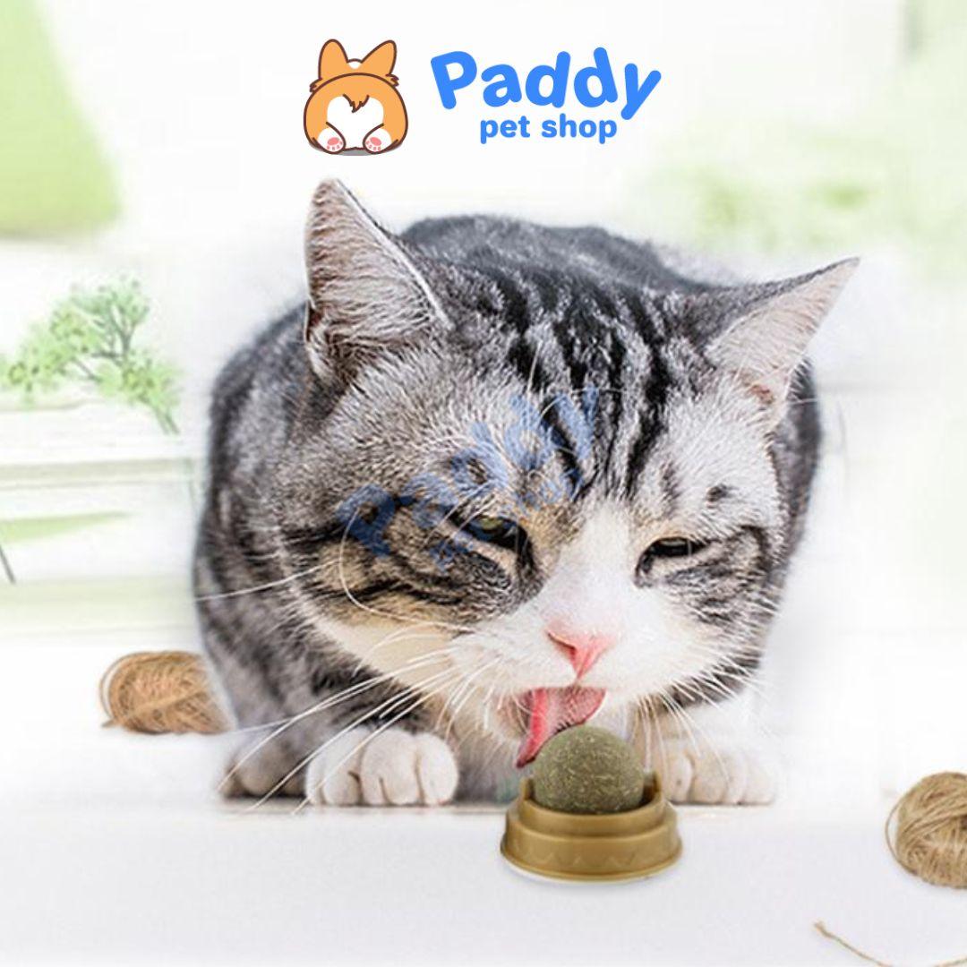 Viên Cỏ Mèo Xoay Gắn Tường Rotating Catnip - Paddy Pet Shop