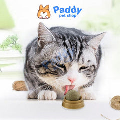 Viên Cỏ Mèo Xoay Gắn Tường Rotating Catnip - Paddy Pet Shop