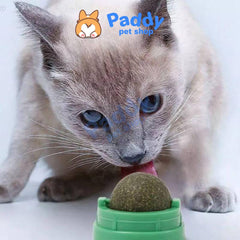 Viên Cỏ Mèo Xoay Gắn Tường Rotating Catnip - Paddy Pet Shop