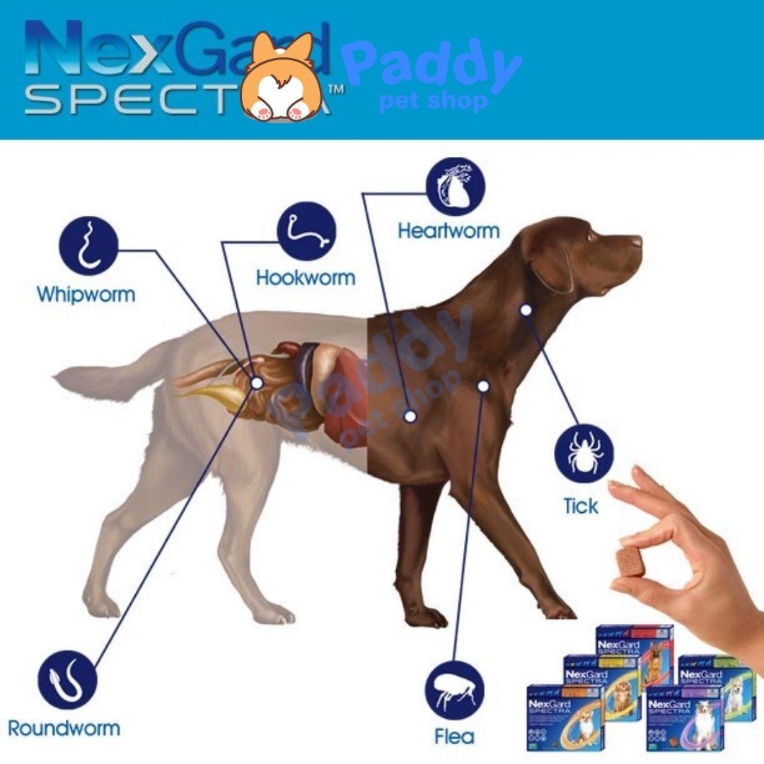 NexGard Spectra Trị Ve, Xổ Giun, Ngừa Ghẻ Cho Chó (Dạng viên nhai) - Paddy Pet Shop