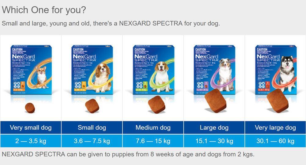 NexGard Spectra Trị Ve, Xổ Giun, Ngừa Ghẻ Cho Chó (Dạng viên nhai) - Paddy Pet Shop