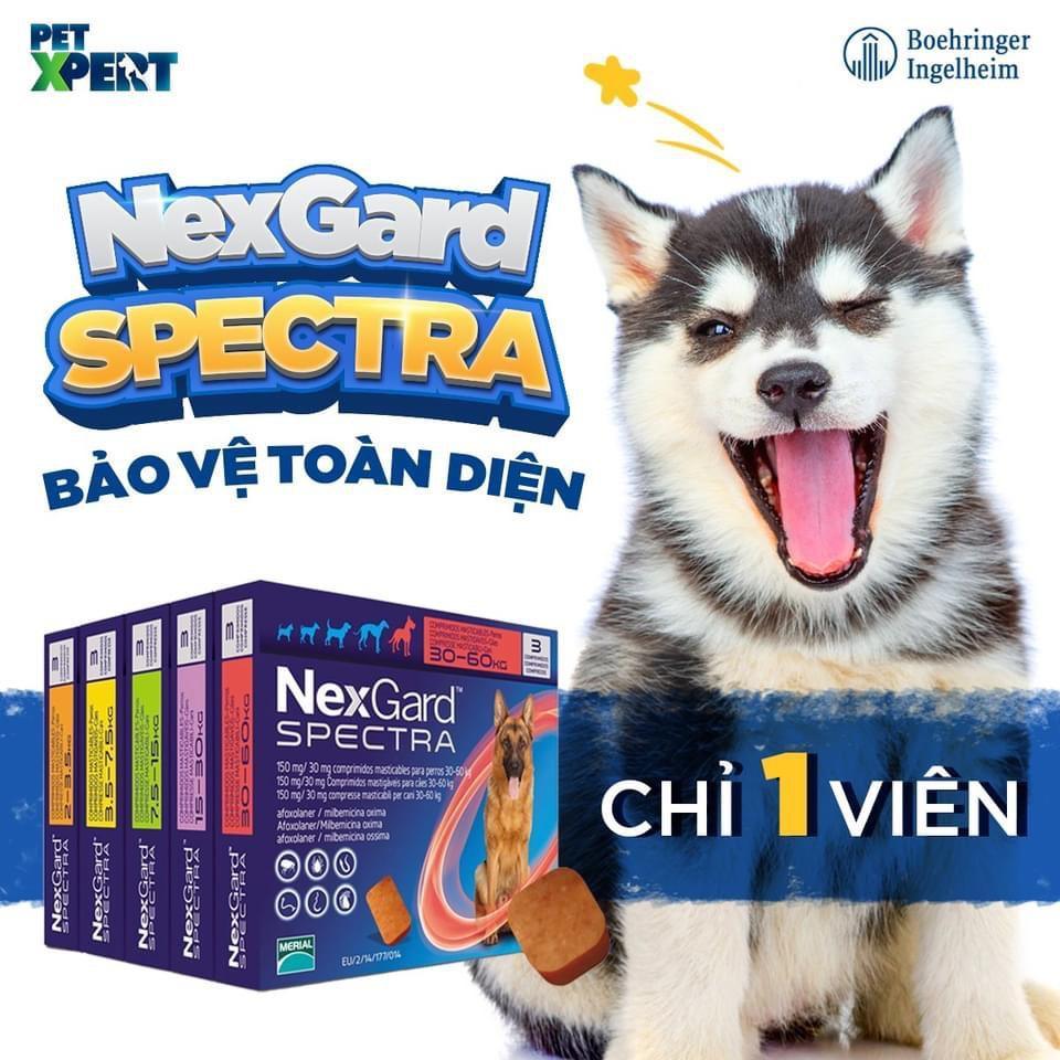 NexGard Spectra Trị Ve, Xổ Giun, Ngừa Ghẻ Cho Chó (Dạng viên nhai) - Paddy Pet Shop