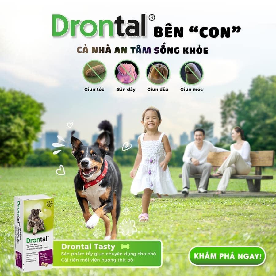 Viên Uống Drontal Trị Giun Cho Chó 10kg (Đức) - Paddy Pet Shop