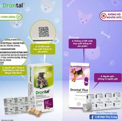 Viên Uống Drontal Trị Giun Cho Chó 10kg (Đức) - Paddy Pet Shop