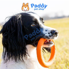 Vòng Cao Su TPet Đồ Chơi Cho Chó Nhai Gặm & Huấn Luyện - Paddy Pet Shop