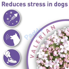 Vòng Cổ Giảm Stress Cho CHÓ Thư Giãn Beaphar Calming - Paddy Pet Shop