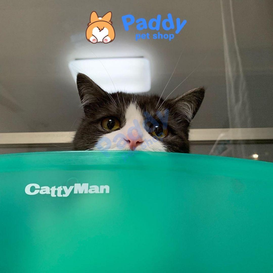 Võng Treo Kiếng CattyMan Cho Mèo <10kg - Paddy Pet Shop